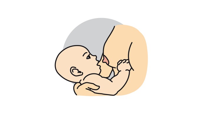 Comment Bien Donner Le Sein Aptaclub