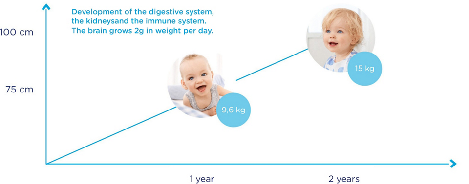 Children S Milk When And How Often Aptaclub De