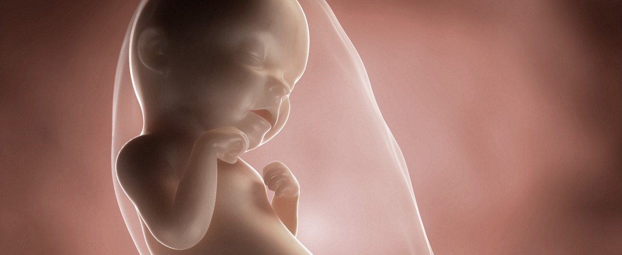 31 SSW Schwangerschaftswoche